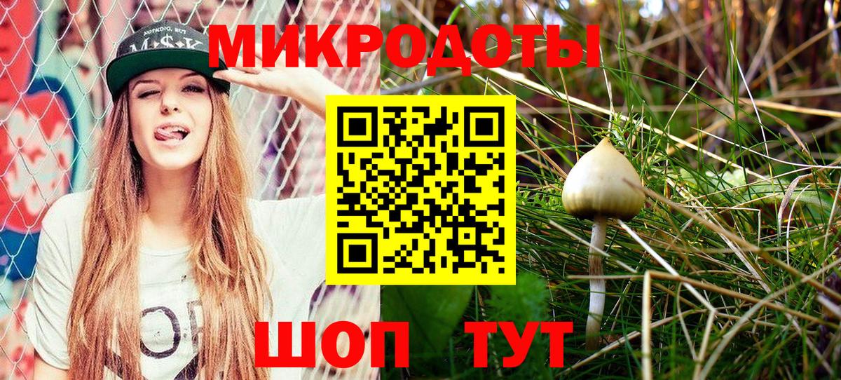 Галлюциногенные грибы GOLDEN TEACHER  Гусиноозёрск 