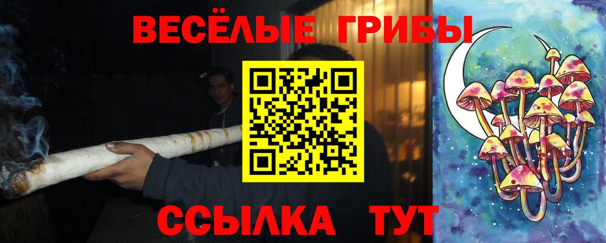 Галлюциногенные грибы GOLDEN TEACHER Гусиноозёрск