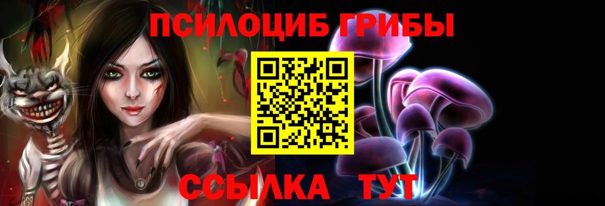 Гусиноозёрск  Галлюциногенные грибы Cubensis  цены наркотик  Вход с VPN  Галлюциногенные грибы мицелий 