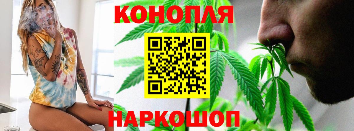 Конопля AK-47  Бошки Шишки White Widow  Гусиноозёрск  Шишки марихуана конопля 